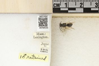 Media type: image;   Entomology 769155 Aspect: Labels